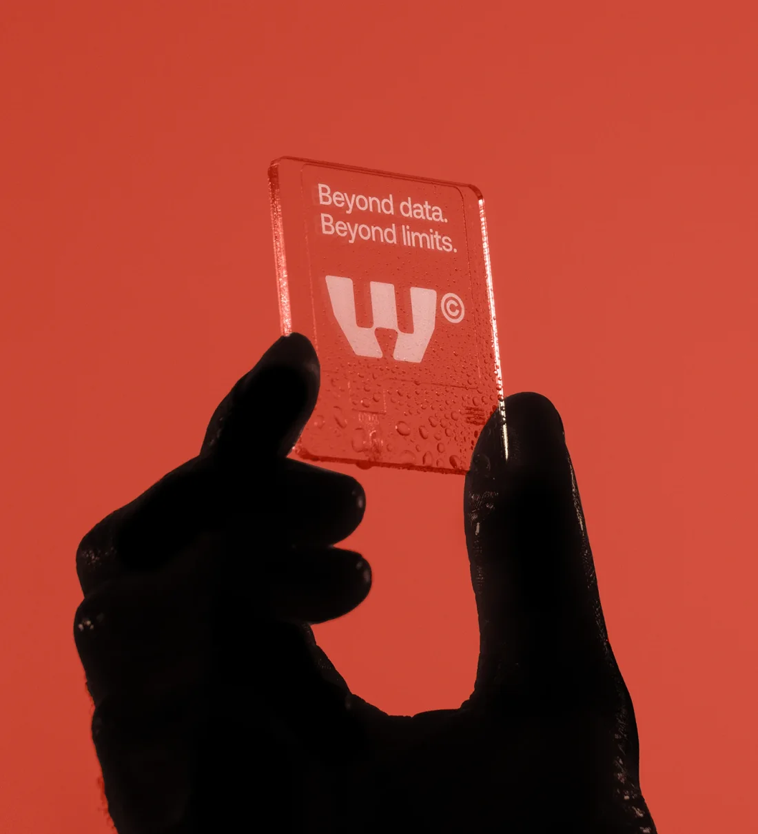 Worm visual system laid out on black: boxes, cards and prints in red, lilac and green